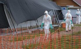 В Уганде временно запретили рукопожатия из-за лихорадки Эбола