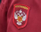 Роспотребнадзор усилил контроль для недопущения завоза хантавируса Андес