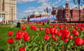 5 мая стало самым теплым днем с начала года в столице