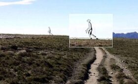 ФБР подтвердило подлинность фото «инопланетянина» с Тайваня