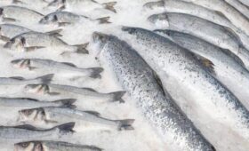 Россельхознадзор приступил к проверке продукции из Армении